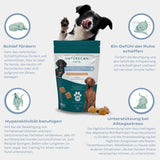 Naturecan CBD Hundeleckerlis für mehr innere Ruhe - CBDHouse.shop