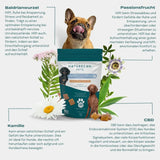 Naturecan CBD Hundeleckerlis für mehr innere Ruhe - CBDHouse.shop