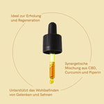 Nordic Oil CBD Öl (20%) mit Kurkumin