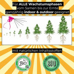 Cannabis Supershield Bio Pflanzenwuchs Beschleuniger