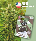 Holy Hemp Auto-Flowering Cannabis Samen (THC) – Cali Seeds