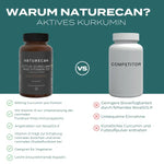 Naturecan Aktives Kurkumin