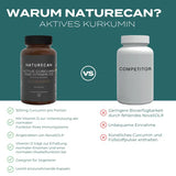Naturecan Aktives Kurkumin