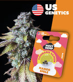 Holy Hemp Auto-Flowering Cannabis Samen (THC) – Cali Seeds