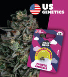 Holy Hemp Auto-Flowering Cannabis Samen (THC) – Cali Seeds