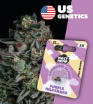 Holy Hemp Full Season Cannabis Samen (THC) – Cali Seeds