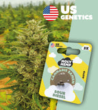 Holy Hemp Auto-Flowering Cannabis Samen (THC) – Cali Seeds