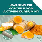 Naturecan Aktives Kurkumin