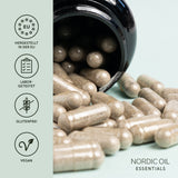 Nordic Oil Eisen & Vitamin C Kapseln
