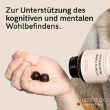 Nordic Oil Löwenmähne Vitalpilz-Gummies