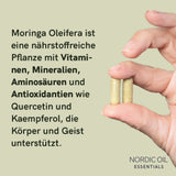 Nordic Oil Moringa-Pulver-Kapseln