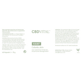 CBD Vital Hanf Gelenke aktiv