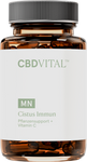 CBD Vital Cistus Immun
