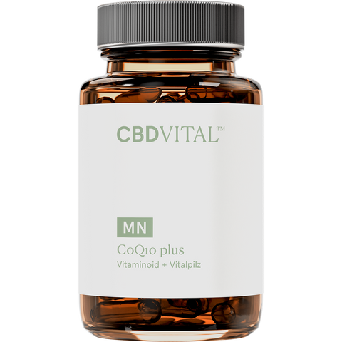 CBD Vital Coenzym Q10 plus